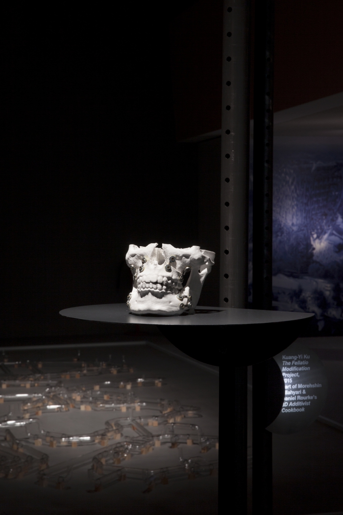 The Fellatio Modification Project by Kuang-Yi Ku (part of The 3D Additivist Cookbook) at the exhibition "alien matter", transmediale 2017.